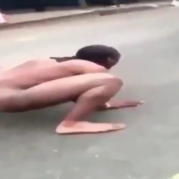 Meet your Posher, Reece - Picture 1 of 1